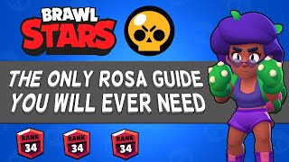 The Only Rosa Guide You Will Ever Need  Guide 2024 [upl. by Rome]