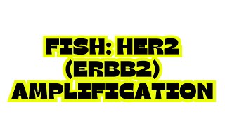 FISH HER2 ERBB2 AMPLIFICATION [upl. by Rome]