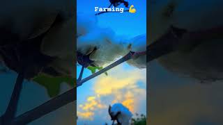 Farming song parmish song 😊 Punjabi song whatsapp status punjabisong trending shorts [upl. by Kalil]