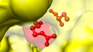 Enzymes [upl. by Noynek]