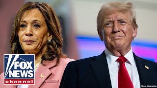 The Five Trump creates policy website for Kamala Harris [upl. by Ecydnac]