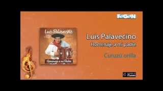 Luis Palavecino  Homenaje a mi padre  Curuzú orilla [upl. by Pennington453]