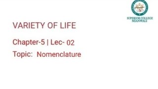 Nomenclature  Carlos Lineauss Binomial Nomenclature  Scientific Naming of Animals [upl. by Tengdin]