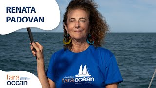 Rencontre avec Renata padovan artiste en résidence sur Tara  Tara Europa [upl. by Douglas]