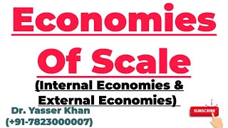 Economies Of Scale  Internal Economies  External Economies  Production Function  Economics [upl. by Hras]