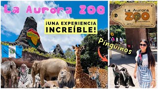 Zoológico La Aurora Guatemala 2023 🇬🇹  De los más grandes de Latinoamérica ¡Hay pingüinos 🤯 [upl. by Lindley42]