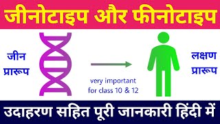 genotype vs phenotype  genotype and phenotype examples  biology ncert  जीनोटाइप फेनोटाइप में अंतर [upl. by Moraj]