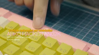 ABKO HACKER AN02K 스테빌라이저 교체 [upl. by Powel]