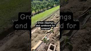 The Ultimate Guide to Composting Grass Clippings amp Cardboard [upl. by Castor149]