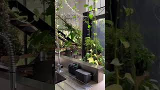 Cuando las PLANTAS NATURALES son las protagonistas del espacio decoracion interiorismo decor [upl. by Banks]