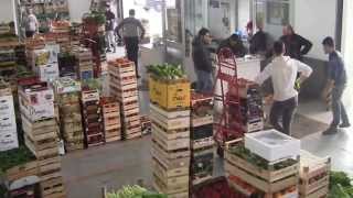 Fevi Frutta Srl  Ingrosso Ortofrutta  Policoro Matera Italia [upl. by Esilahc]