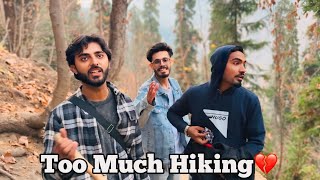 Exploring Kashmir  Arangkel  Hiking😭 [upl. by Eselrahc]