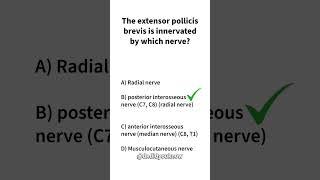 The extensor pollicis brevis is innervated by which nerve anatomy [upl. by Branch]