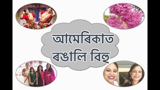 Vlog5 আমেৰিকাত ৰঙালী বিহু উদযাপন I Indiana Assamese Association USA Rongali Bihu America Diary [upl. by Othilia]