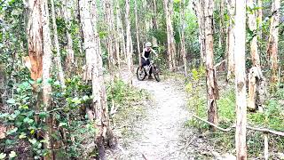 Okeeheelee Park MTB Bike Trail 06 [upl. by Nannaihr197]