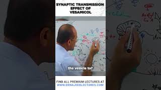 Synaptic transmission Effect of Vesamicol drnajeeblectures drnajeeb youtubeshorts [upl. by Kellyann363]