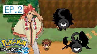 Pokemon Black 2 Onwards to Floccesy Ranch Randomizer Nuzlocke EP 2 [upl. by Ecnarolf]