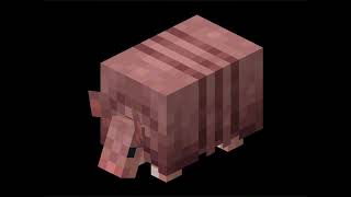 Minecraft 1205  Armadillo Sounds [upl. by Pepi545]