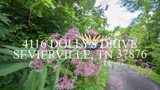 4116 Dollys Drive Sevierville TN 37876 [upl. by Ndnarb]