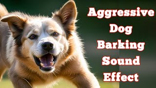 Aggressive Dog Barking Sound  Vicious Dog Barking Sound Effect [upl. by Otrevire]