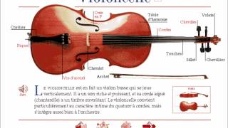 Les instruments de lOrchestre Symphonique  Les Cordes frottées [upl. by Ibrahim590]