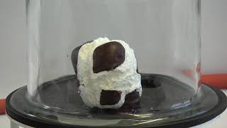 Chocolate coated marshmallow treat in vacuum  experiment [upl. by Mariam]