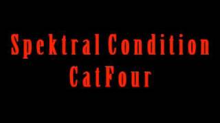 Spektral Condition  Cat Four [upl. by Arvy622]