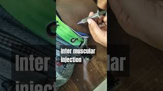 how to inject intermuscular im injectionyoutube shots [upl. by Arelc932]