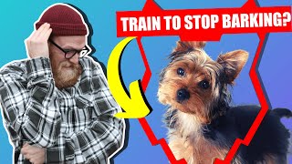 How To Stop Your YORKSHIRE TERRIER Barking [upl. by Cardon218]