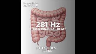 281 Hz Binaural Beats  Intestines Healing [upl. by Enohpesrep811]