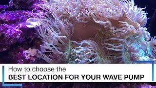 How to Choose the Best Location for Your Wave Pumps [upl. by Doownelg778]