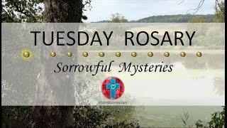 Tuesday Rosary • Sorrowful Mysteries of the Rosary 💜 October 22 2024 VIRTUAL ROSARY  MEDITATION [upl. by Ahtibat]