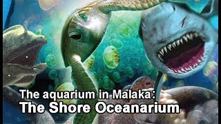 The Aquarium In Melaka：The Shore Oceanarium [upl. by Radmen424]