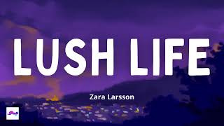 Lush Life 1 Hour  Zara Larsson [upl. by Tomasine]