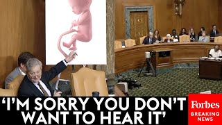 John Kennedy Relentlessly Grills ProChoice Witness Snaps At Sheldon Whitehouse For Cutting Him Off [upl. by Laynad]