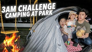 Camping OVERNIGHT At The Park 3AM Challenge  Ranz and Niana [upl. by Yorled]