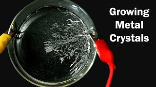 How to grow Tin Crystals [upl. by Lasko]