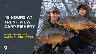 Carp Fishing at Trent View Fishery Mark Pitchers amp Harry Charrington [upl. by Nesnah180]