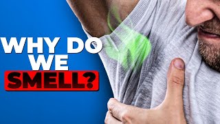 The Science of Body Odor Science Behind Your Sweat [upl. by Ahsikam]