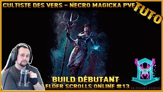 tuto fr Elder Scrolls Online  Build Nécromancien magicka pve 2022 [upl. by Rayford470]