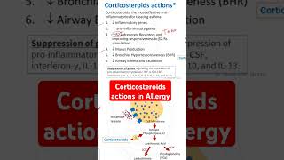 Corticosteroids actions in Allergy [upl. by Assadah833]