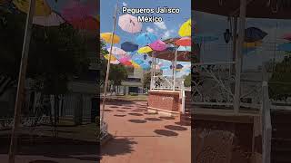 bonito Reel de pegueros Jalisco México [upl. by Damon76]