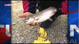 Italian Fishing TV  Tubertini  Tecniche di pesca  Trota Lago [upl. by Pinzler]