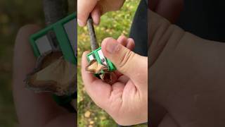 Camping skills camping survival outdoors forest bushcraft [upl. by Rosenblum]