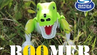 Zoomer Dino Boomer Review [upl. by Alemac]