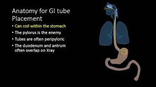 GI Tubes [upl. by Nail]