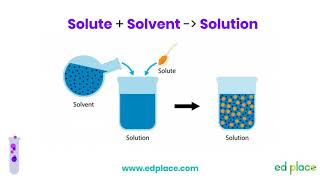 Year 7 Science Lesson Solute Solvent Solution  EdPlace [upl. by Hopper977]