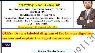 Draw a labeled diagram of the human digestive system and explain the digestion process [upl. by Vaclav]