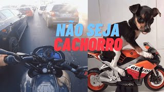 COMPRE A MOTO QUE VOCÊ QUISER E NÃO A QUE OS OUTROS GOSTAM [upl. by Marje]