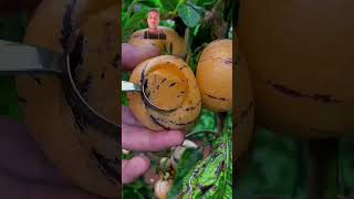 fruit naturallifeb satisfying naturalclips naturelife fruitcutting jackfruit food plants 1 [upl. by Lleznov754]